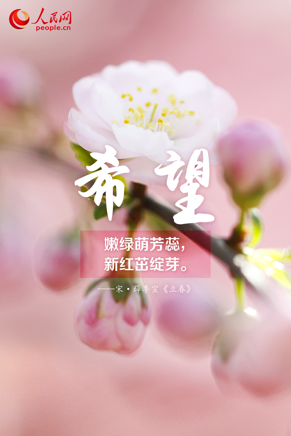 ־սʱô