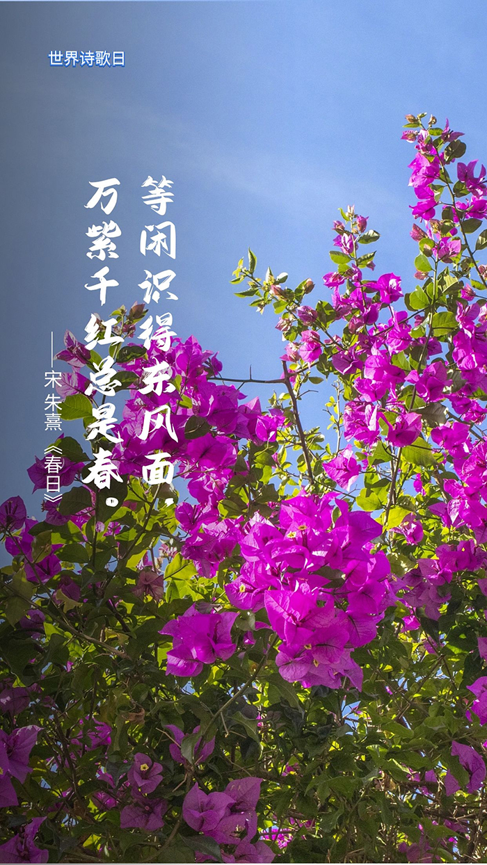 ѧƿ|ʫգߢһƬʫ͸