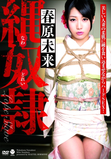春原未来 发布日：2013/05/10 (DVD セル版) 番号：MEEL-20 无种-第1张