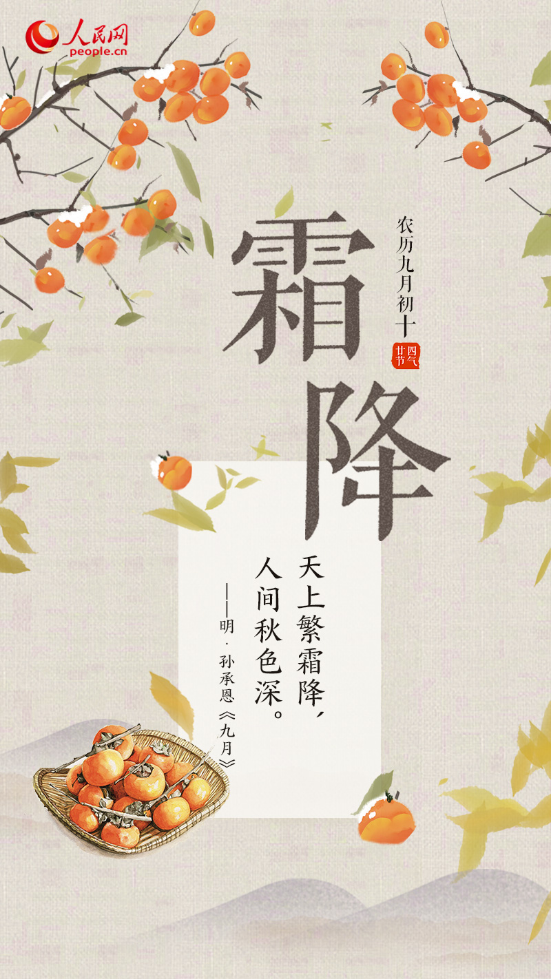 ˪ͣ˪Ҷڶ»