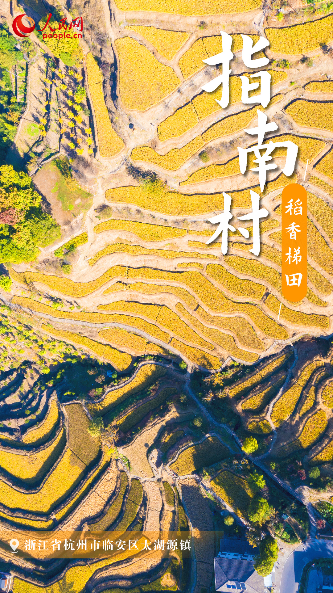 »һ𵽡塱
